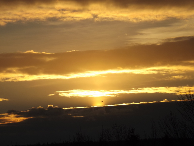 suns almost up. Coldbrook, Nova Scotia Canada