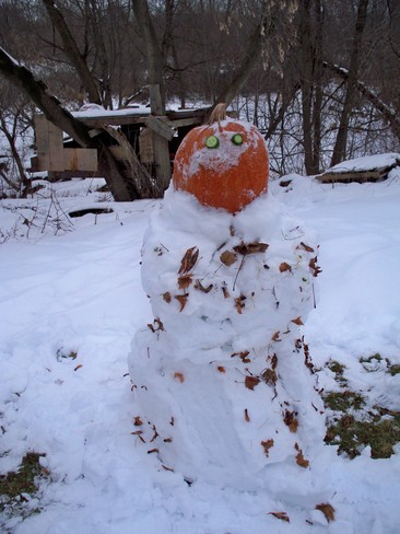 Snowman next door Wellandport, Ontario Canada