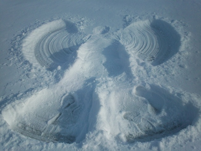 Snow Angel Kitchener, Ontario Canada