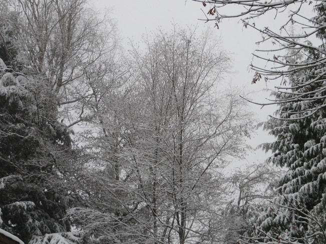 White Christmas Surrey, British Columbia Canada