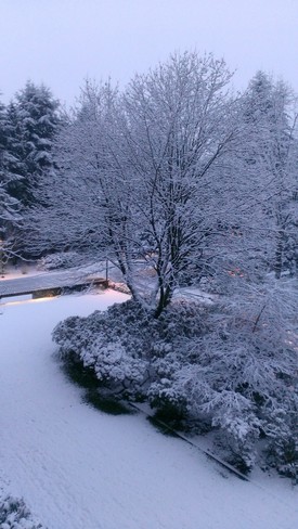 Woke up to Snow ! North Vancouver, British Columbia Canada