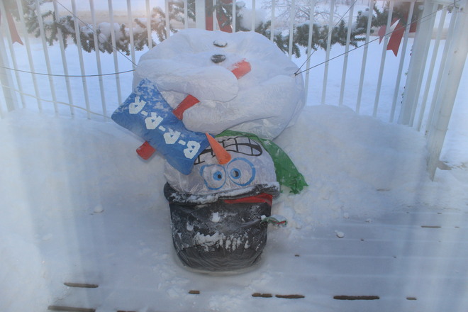 Even the snowman froze! Fort McMurray, Alberta Canada