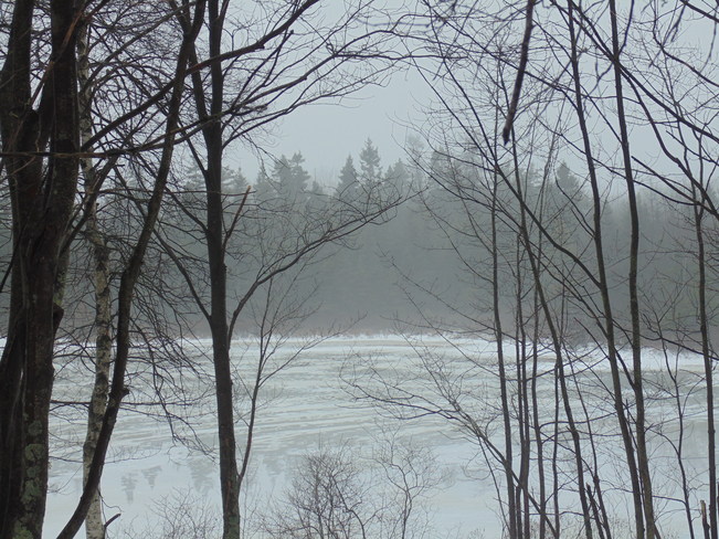 Foggy Lake Dartmouth, Nova Scotia Canada