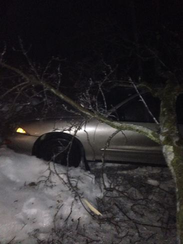 Sharon's Damaged car from the Ice storm Halton Hills, Ontario Canada
