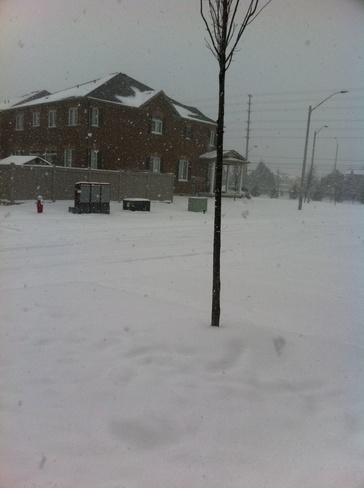 snowstorm Mississauga, Ontario Canada