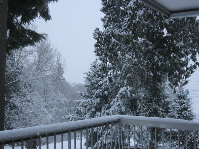 our winter wonderland Surrey, British Columbia Canada