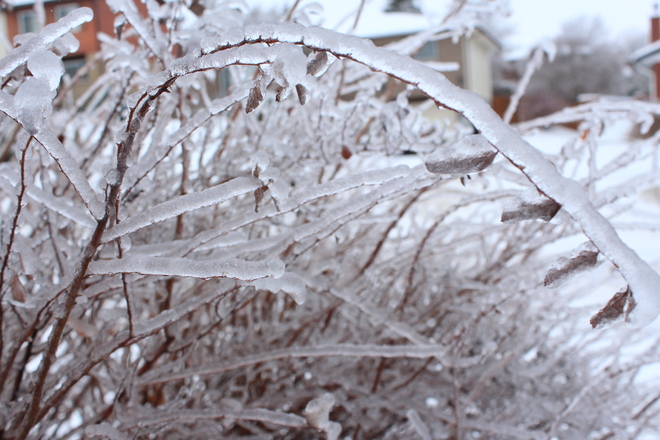 Frozen in Time Peterborough, Ontario Canada