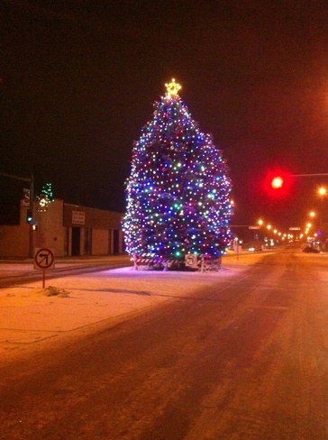 Town of Stettler Christmas Tree Stettler, Alberta Canada