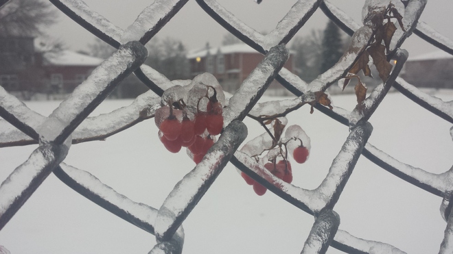 Frozen in Time Newmarket, Ontario Canada