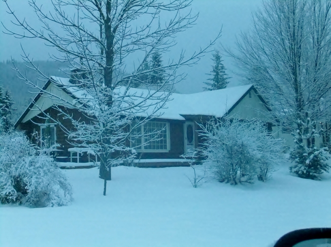 light snow in the early morning Fauquier, British Columbia Canada