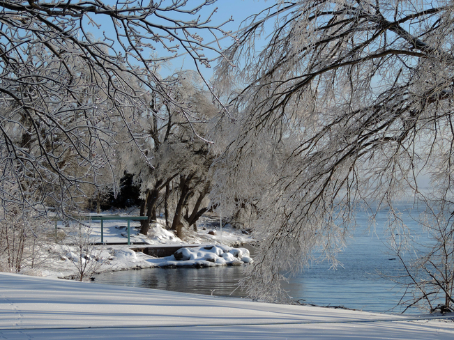 Serenity in the icy aftermath Kingston, Ontario Canada