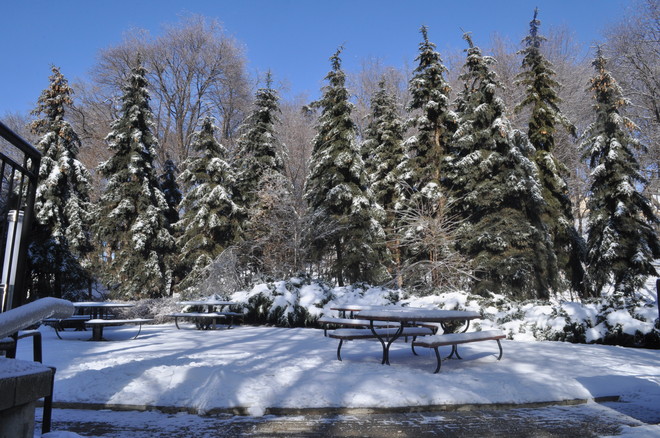 Winter Wonderland Toronto, Ontario Canada