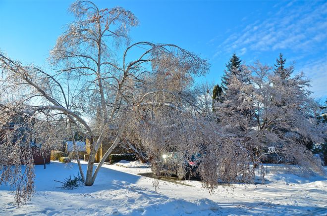 Frozen Oakville, Ontario Canada