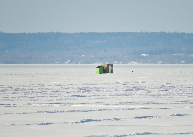 Ice fishing huts moving on to Lake Nipissing. North Bay, Ontario Canada