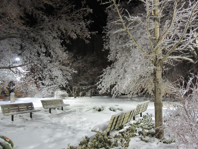 Winter White Night Caledon, Ontario Canada
