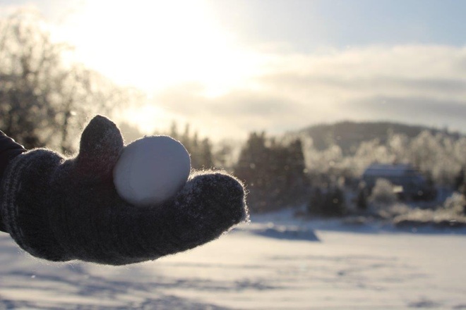 Snowball and mitten Saint John, New Brunswick Canada