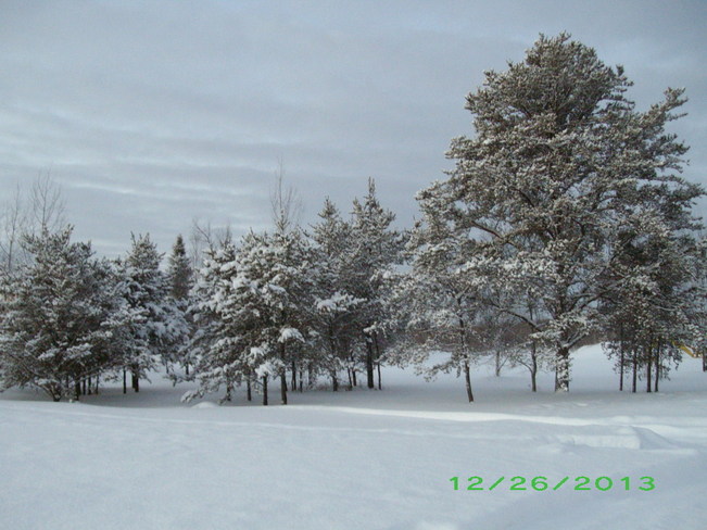 Fresh snow covering Kenabeek, Ontario Canada