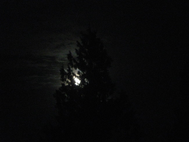 moon shine Surrey, British Columbia Canada