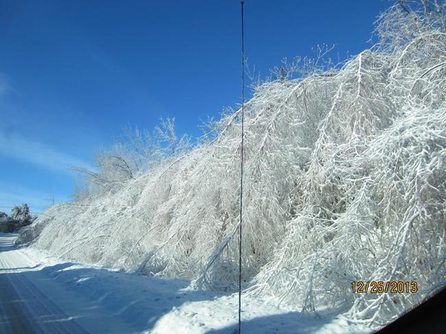 ice storm Potton, Quebec Canada