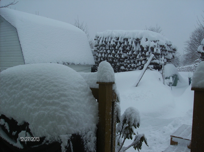 Snow Storm Carbonear, Newfoundland and Labrador Canada