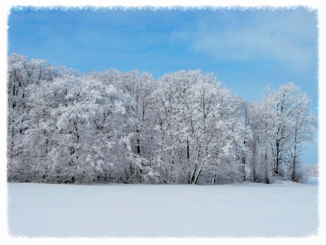 beautiful winter Guelph, Ontario Canada