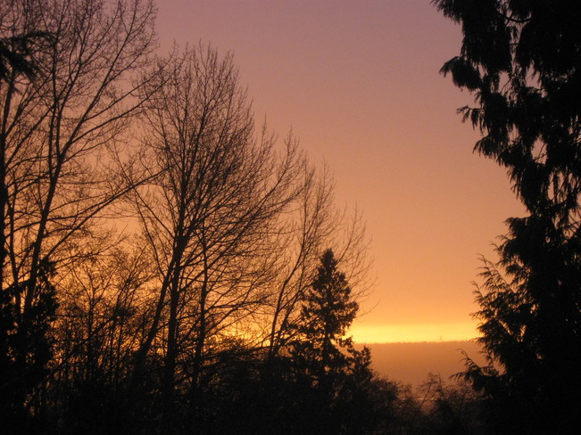 early morning Surrey, British Columbia Canada