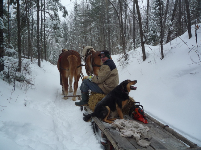 Winter sleigh ride Rockingham, Ontario Canada