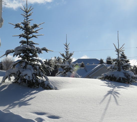 winter wonderland Dieppe, New Brunswick Canada