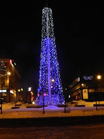 The Blue Tree Barrie, Ontario Canada
