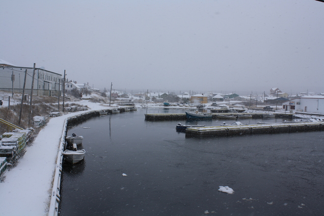 Winter in the harbour! Bonavista, Newfoundland and Labrador Canada