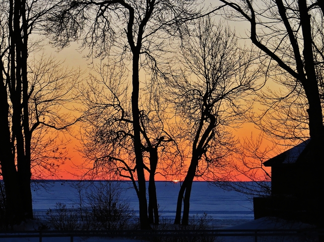 Trees at sunset stir the imagination. North Bay, Ontario Canada