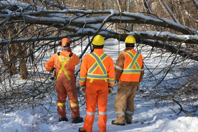 Post-Ice Storm Cleanup Richmond Hill, Ontario Canada