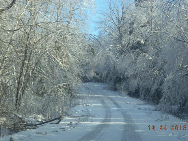 Ice Storm Dec. 2013 