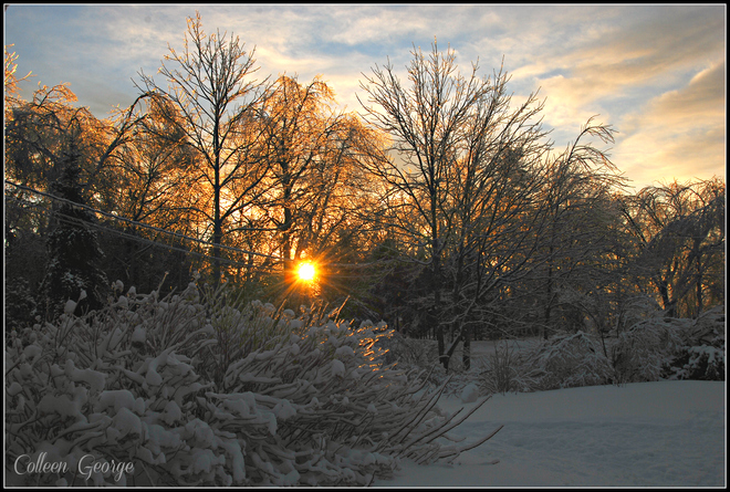 Icy Winter Sunrise Centreville, Nova Scotia Canada