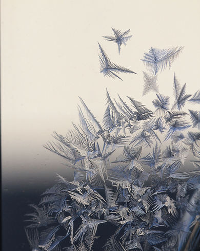 Frost on my Window Lampman, Saskatchewan Canada