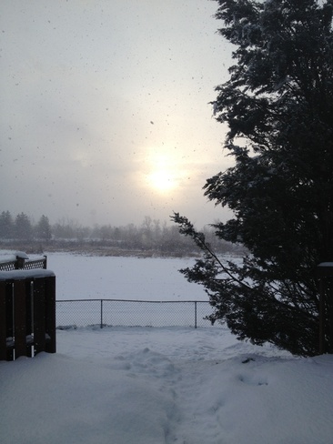 sun and snow Fergus, Ontario Canada