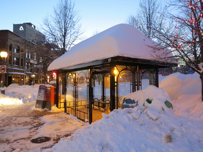 Bus Shelter in downtown Moncton Moncton, New Brunswick Canada