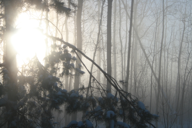 Freezing Fog South Porcupine, Ontario Canada