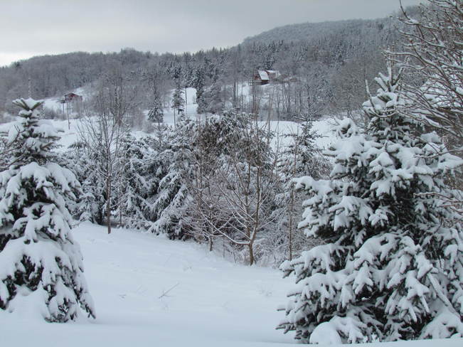 winter wonderland in the valley Halifax, Nova Scotia Canada