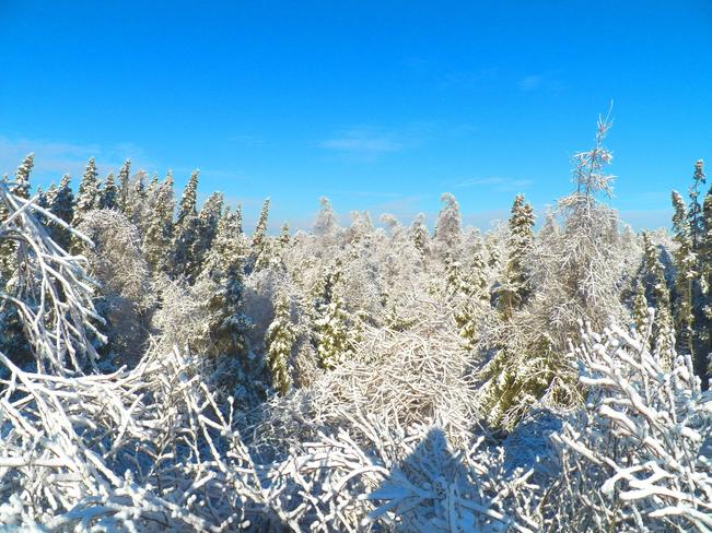 White Winter Magic Musquash, New Brunswick Canada