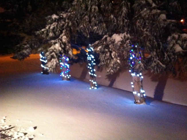 icy lights Merritton, Ontario Canada