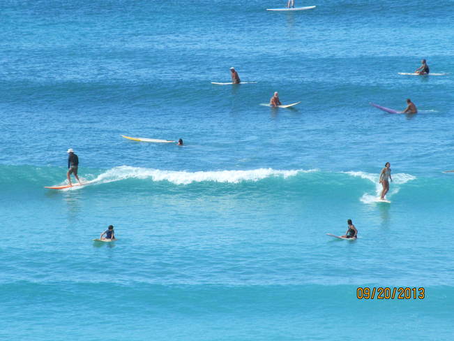 Surfing in paradise Honolulu, Hawaii United States