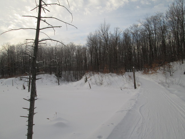 Ski Trail in Gatineau Park Ottawa, Ontario Canada