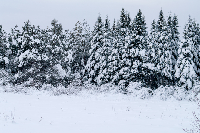 Winter Wonderland Fredericton, New Brunswick Canada