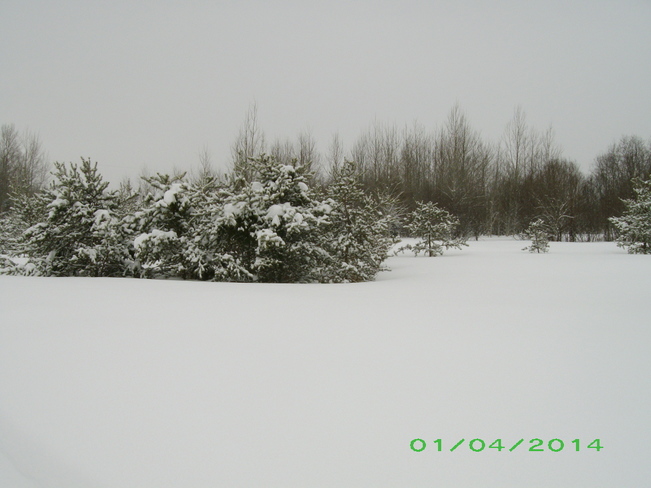 Winter Wonderland Kenabeek, Ontario Canada