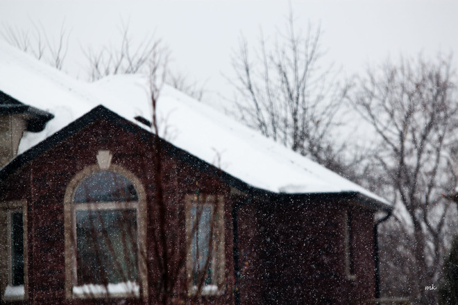 snowy sunday Windsor, Ontario Canada