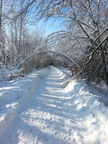 After ice storm Oromocto, New Brunswick Canada