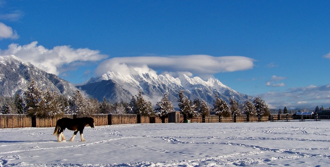 Snow Covered Rockies Fort Steele, British Columbia Canada