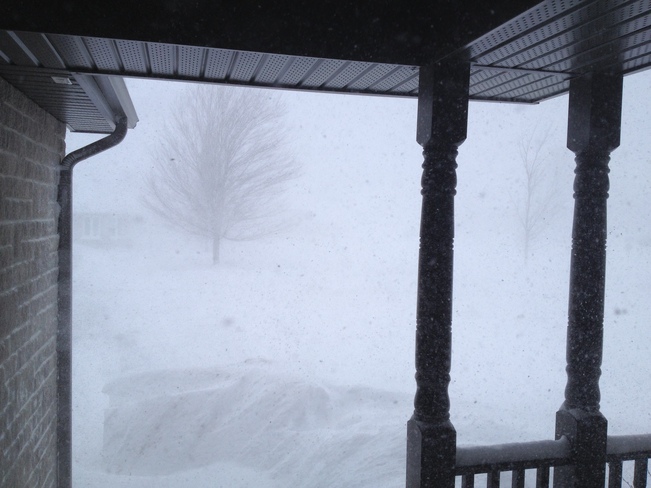 Blizzard Warning From Tom Port Elgin, Ontario Canada