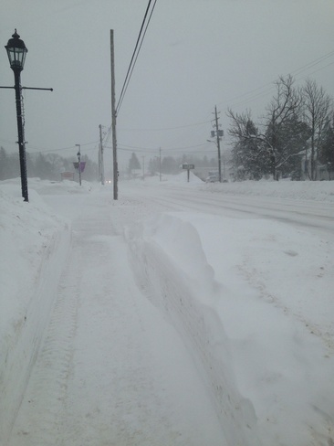 blizzard conditions Thornbury, Ontario Canada